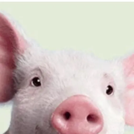 chat with ai character: Wilbur
