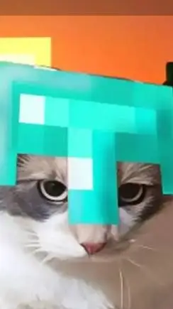 ai character: Minecraft kitty  background