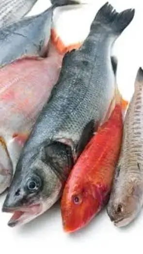 ai character: fish background