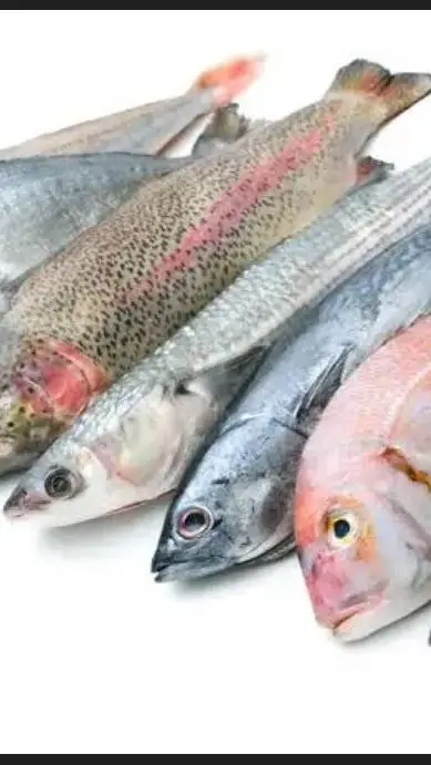 ai character: the fish  background