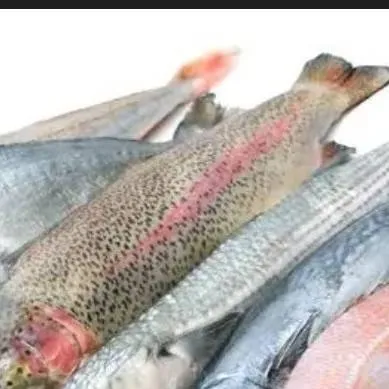 chat with ai character: the fish 