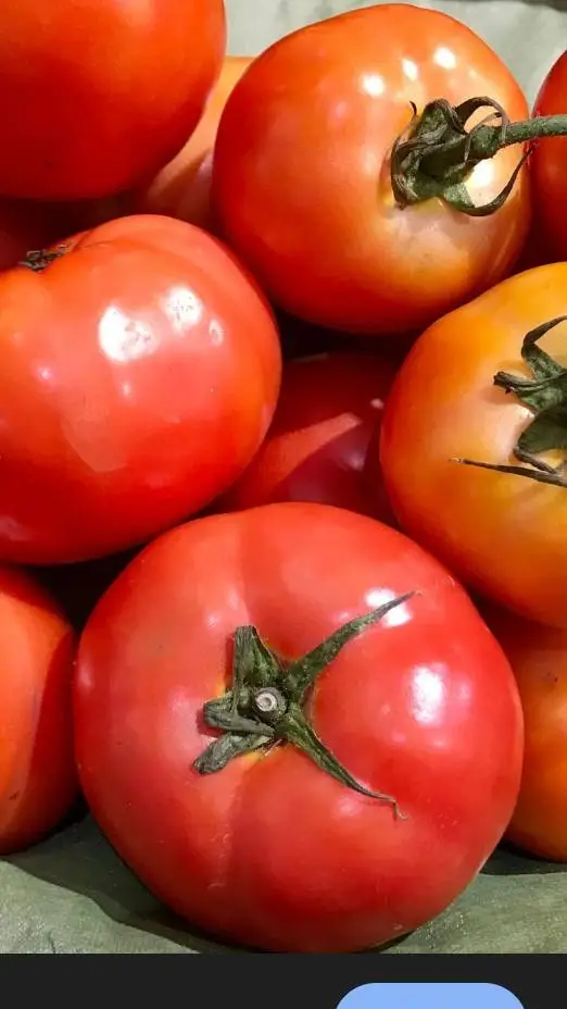 ai character: Tomato background