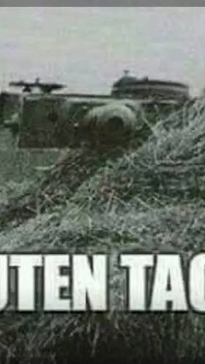 ai character: Tiger H1 background