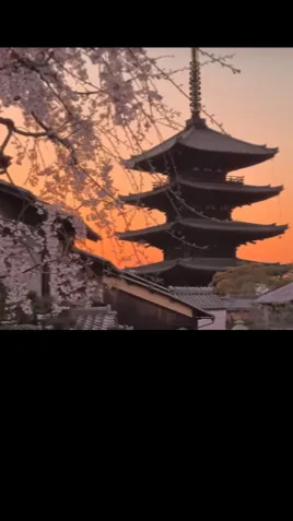 ai character: Japan 🇯🇵  background