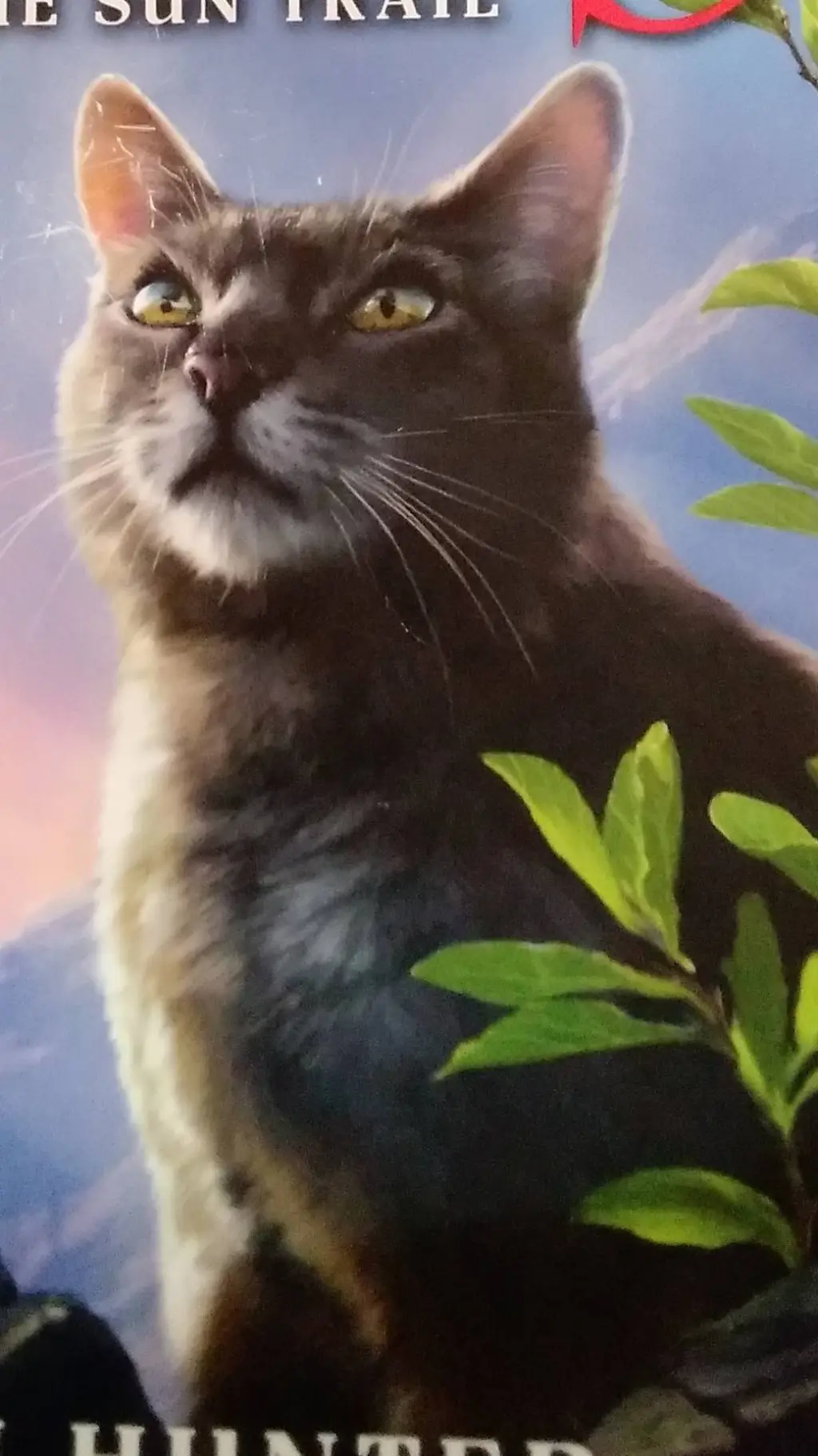 ai character: Graywing  background