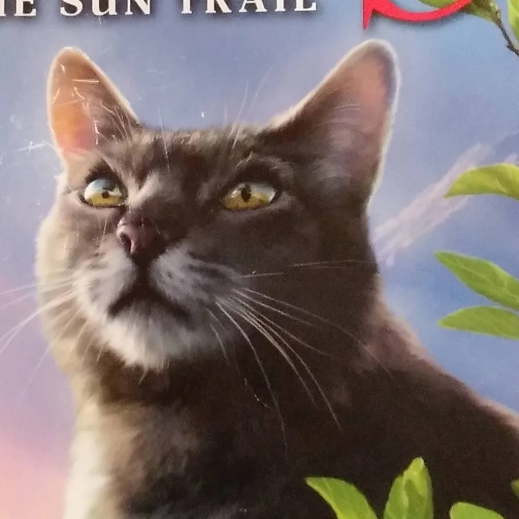 chat with ai character: Graywing 