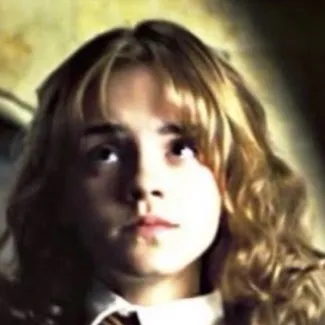 chat with ai character: Hermione 