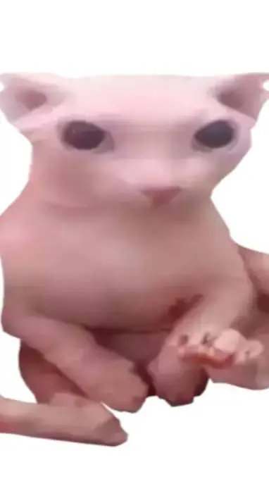 ai character: Hairless cat background