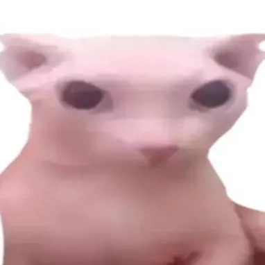 chat with ai character: Hairless cat