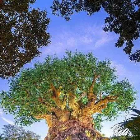 chat with ai character: Animal Kingdom 