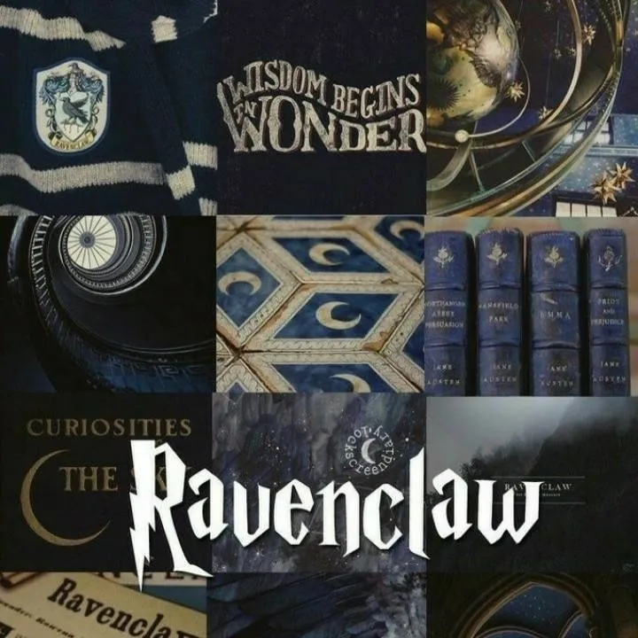 chat with ai character: Ravenclaw CM