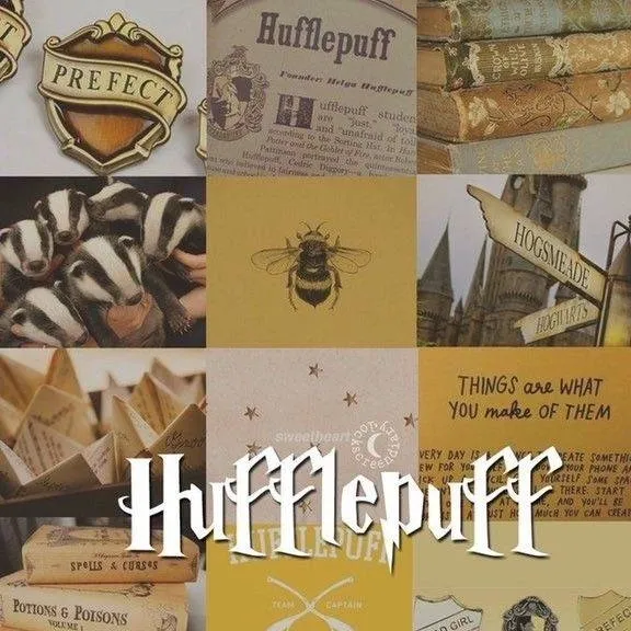 chat with ai character: Hufflepuff CM