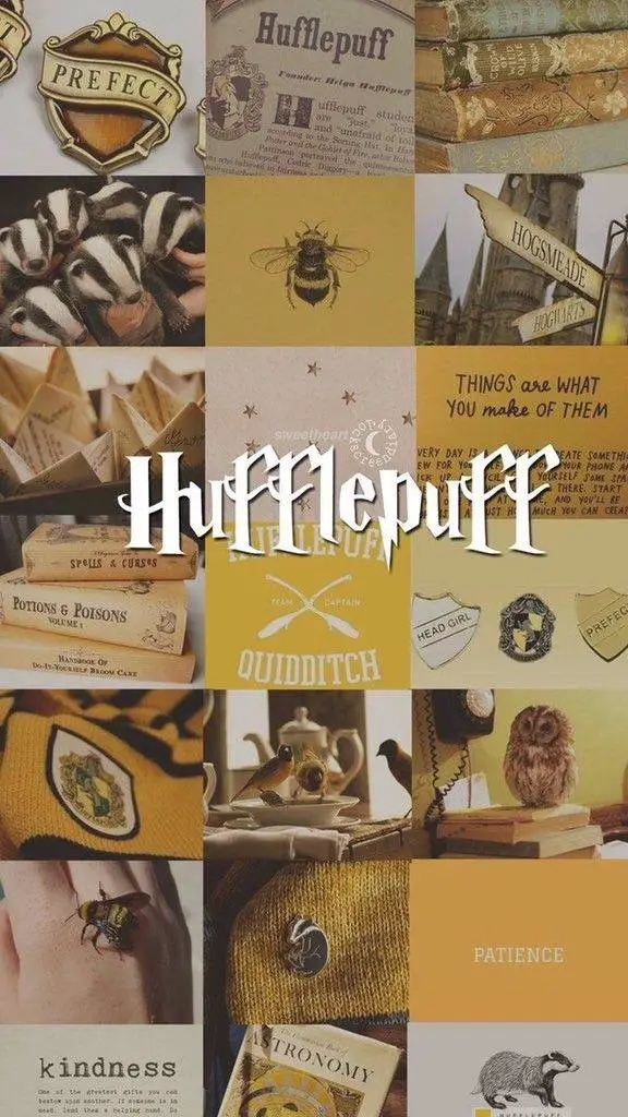 ai character: Hufflepuff CM background