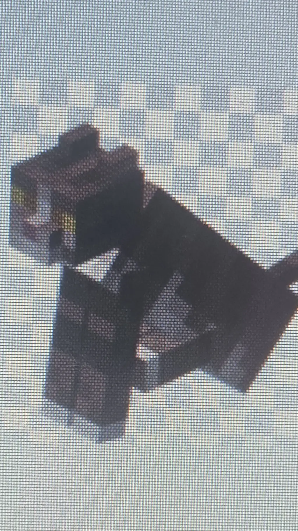 ai character: Chocolate_Survivor background