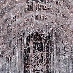 chat with ai character: Hogwarts Yule Ball