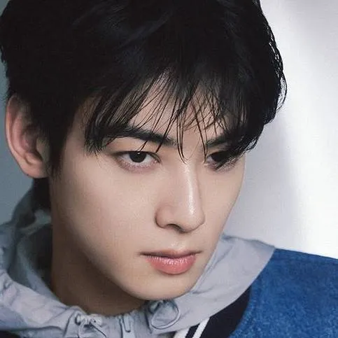 chat with ai character: Cha Eun Woo 
