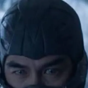 chat with ai character: Sub Zero 