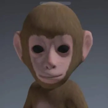 chat with ai character: Monkeyy