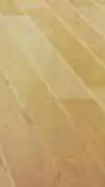 ai character: .. background