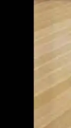 ai character: . background