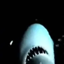 chat with ai character: tracker the shark 