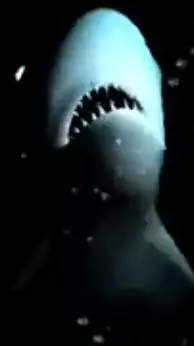ai character: tracker the shark  background