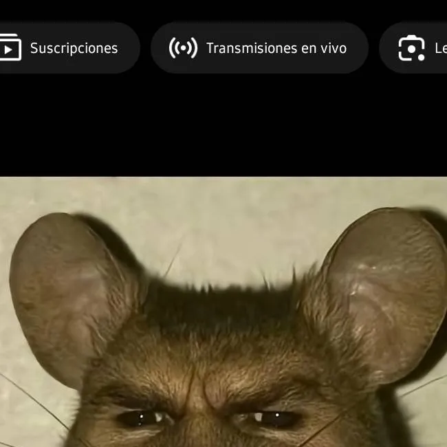 chat with ai character: MOUSE RATATA