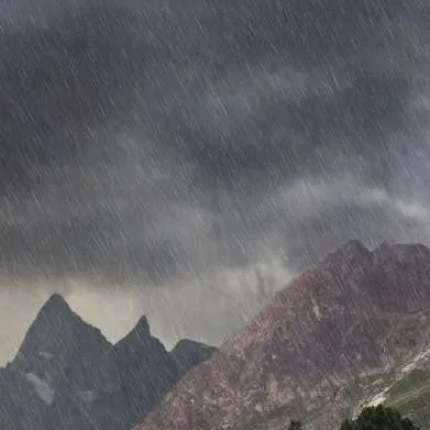 chat with ai character: ~survival blood~