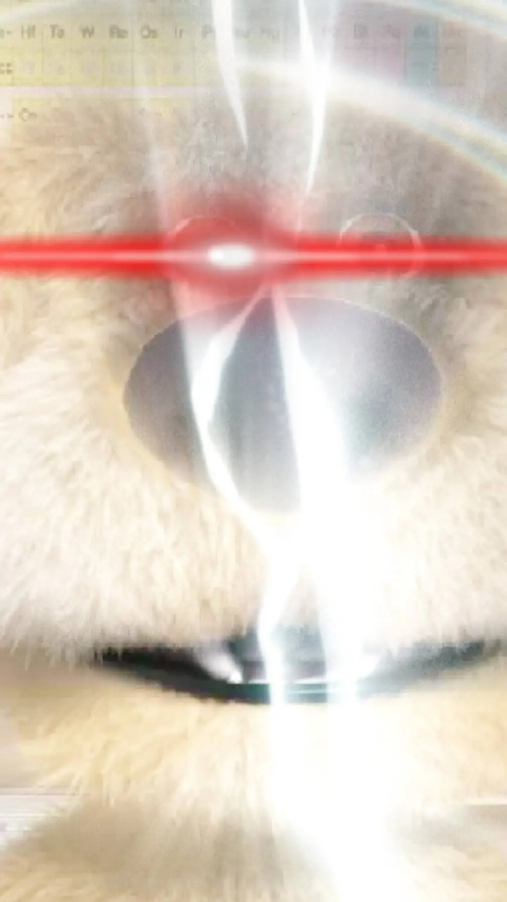 ai character: YNBen background