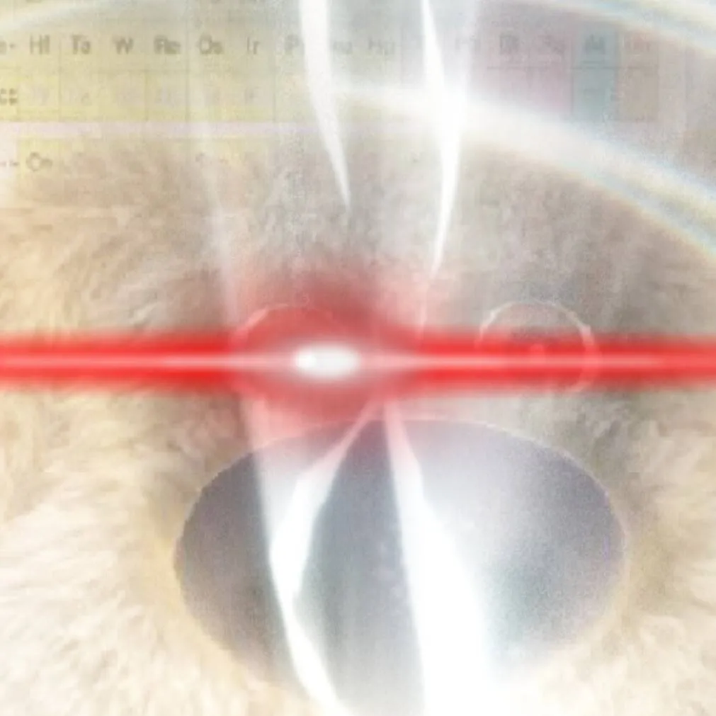 chat with ai character: YNBen