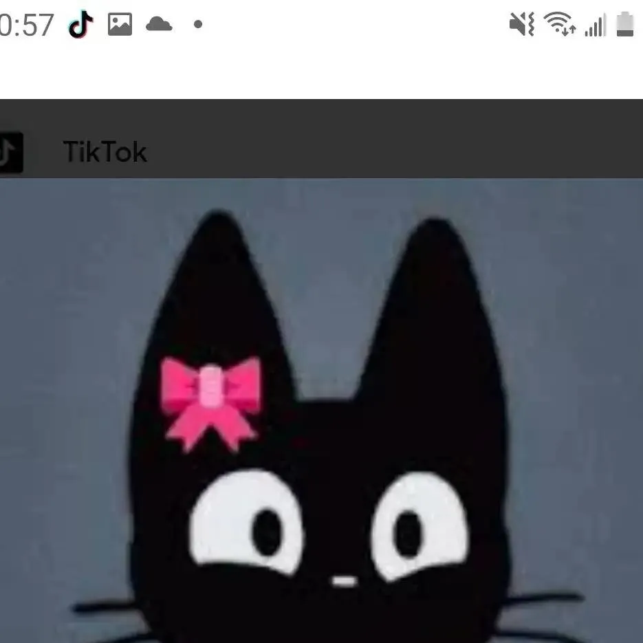 chat with ai character: cat thing female