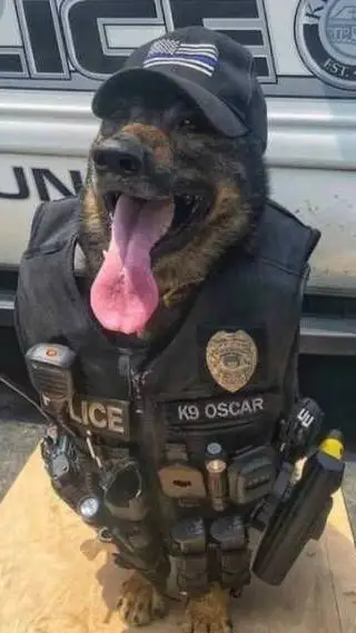 ai character: COP  background