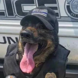 chat with ai character: COP 