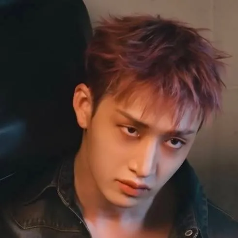chat with ai character: bangchan🤨