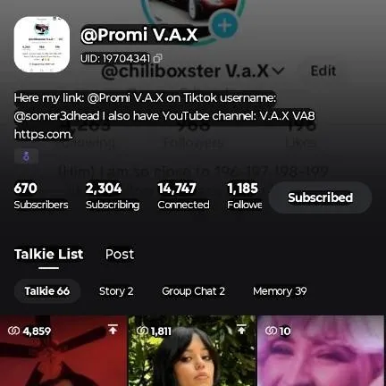 chat with ai character: @Promi V.A.X 