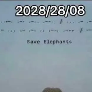 chat with ai character: Save the Elephants