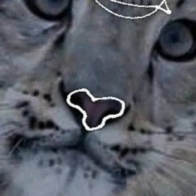 chat with ai character: Chatting