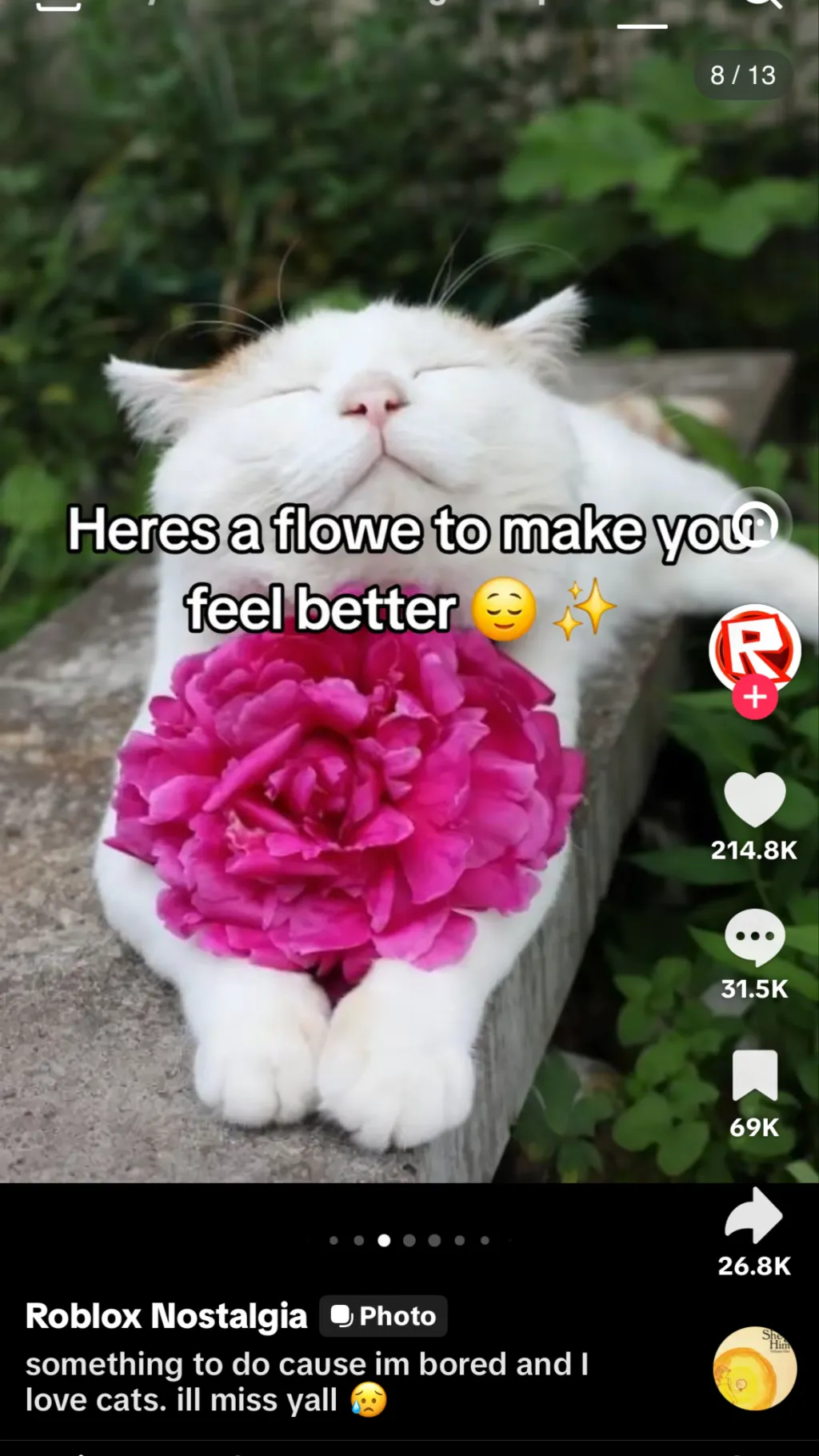 ai character: Kitty background