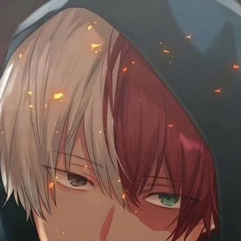 chat with ai character: ❄️Shoto todorioki🔥