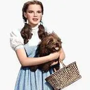 chat with ai character: dorothy gale 