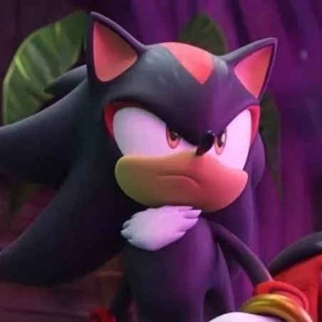 chat with ai character: Shadow El Erizo🖤⚡💎