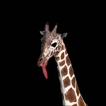 chat with ai character: Tall Goat