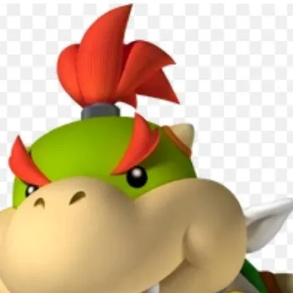 chat with ai character: Bowser jr 