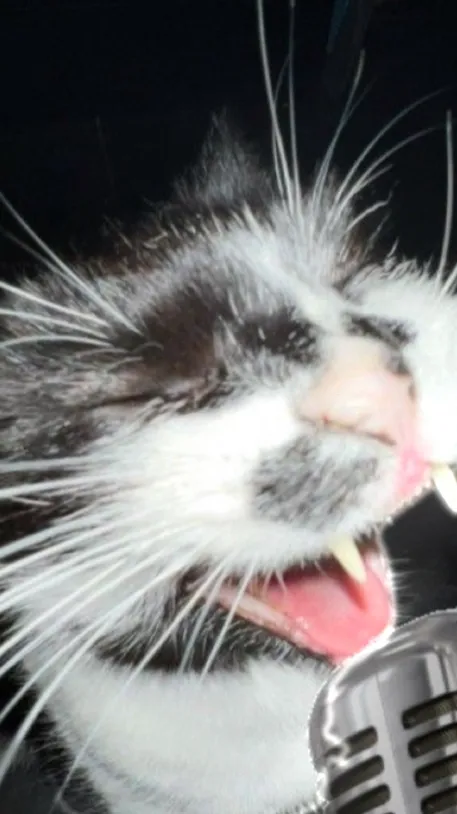 ai character: Sori💀🫧 background