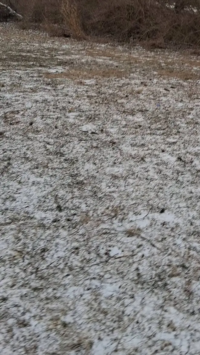 ai character: Heated Rivalry background