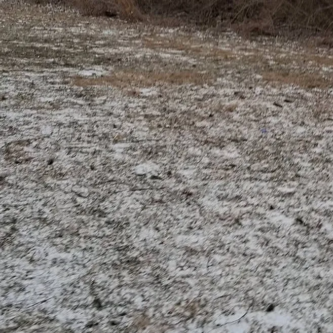 chat with ai character: Heated Rivalry