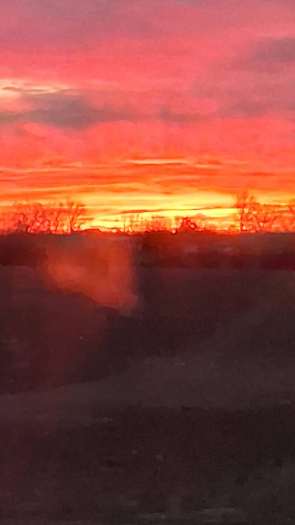 ai character: Bad bunny concert  background