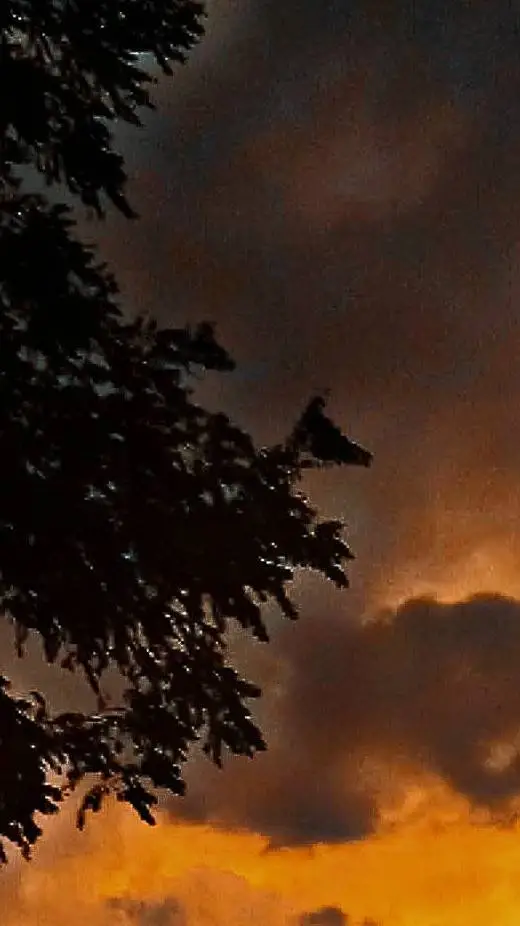 ai character: Cod background