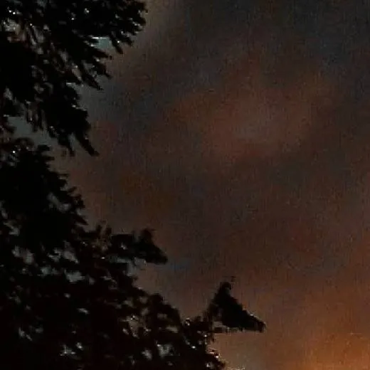 chat with ai character: Cod