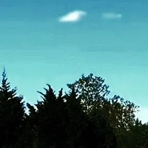 chat with ai character: Cod Blood